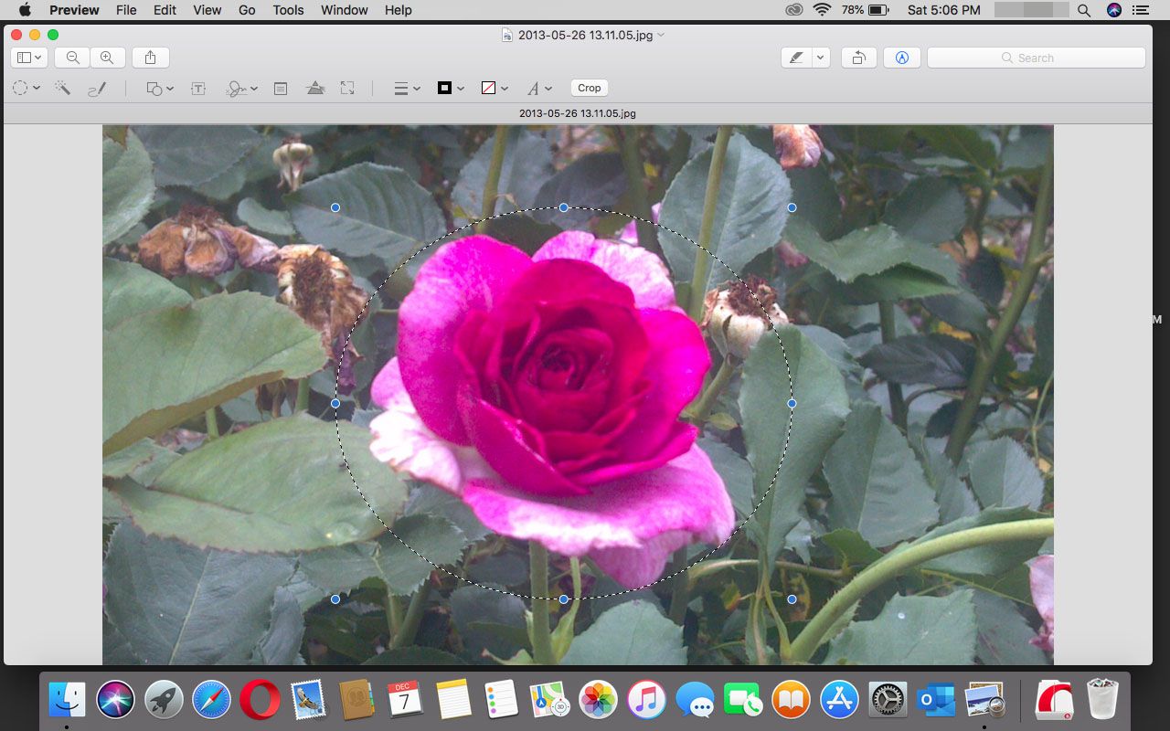 Mac App For Cropping Pictures